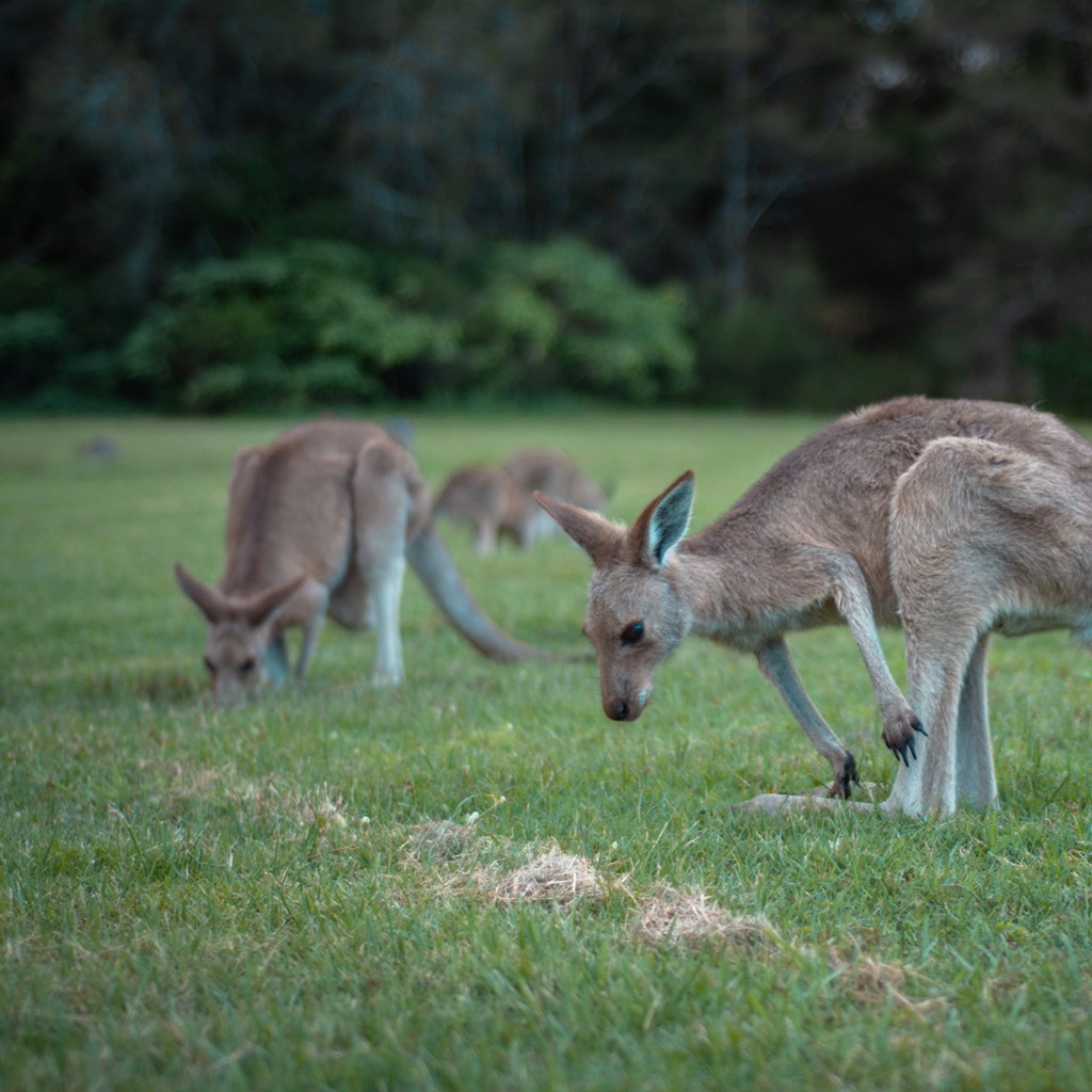 James and Stephanie King's property in Western Australia